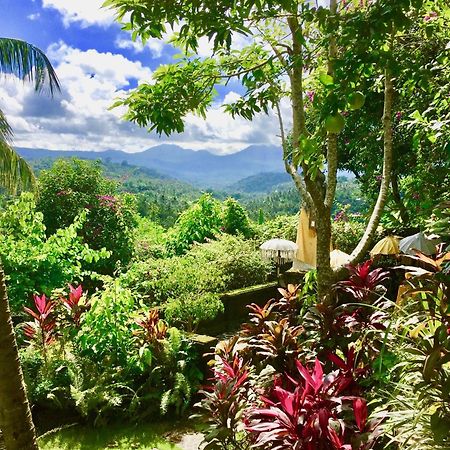 Gunung Paradis Retreat Munduk Dış mekan fotoğraf