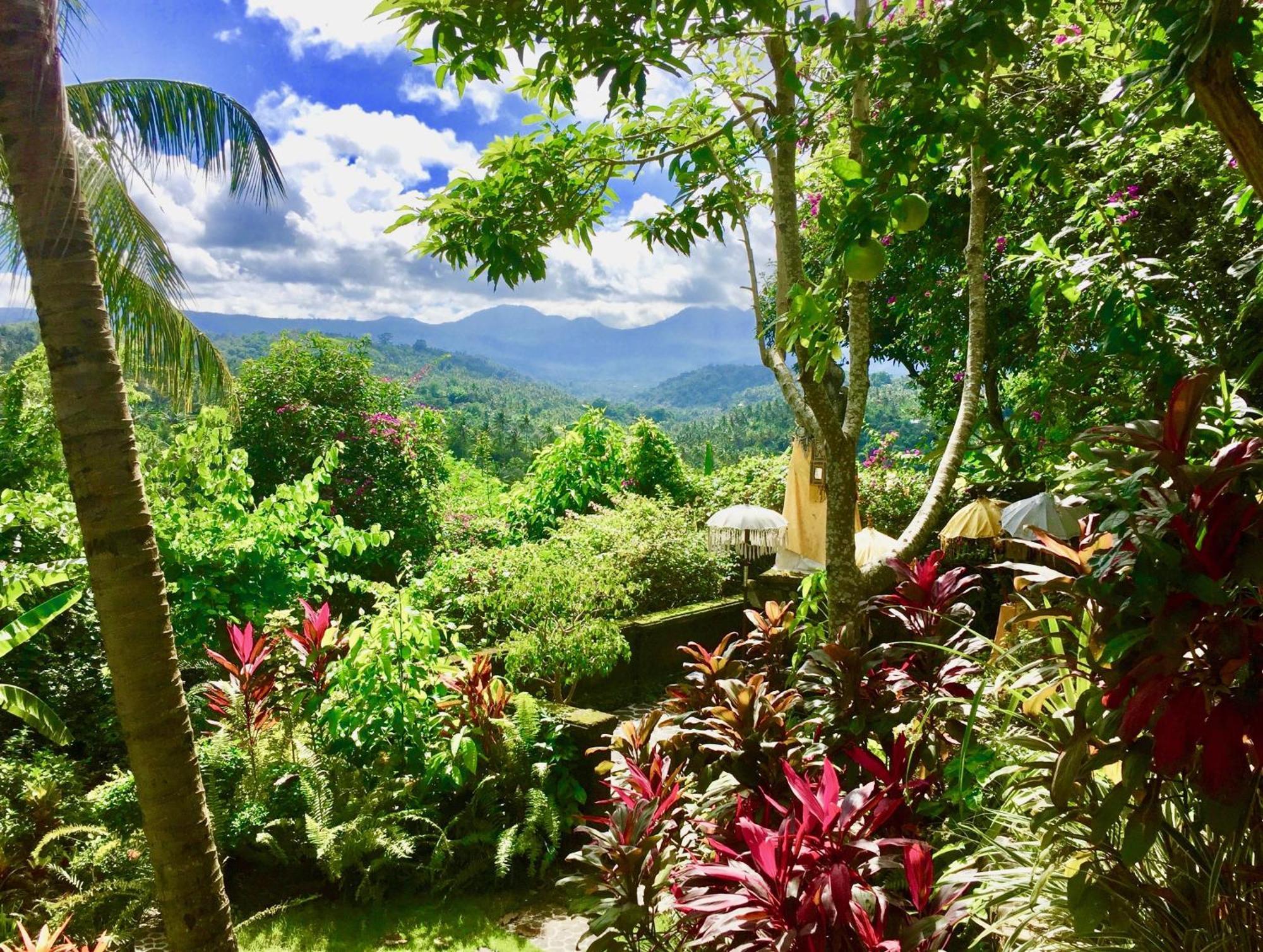 Gunung Paradis Retreat Munduk Dış mekan fotoğraf