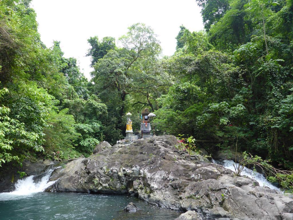 Gunung Paradis Retreat Munduk Dış mekan fotoğraf