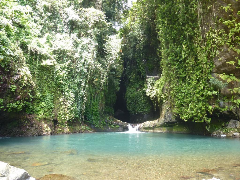 Gunung Paradis Retreat Munduk Dış mekan fotoğraf
