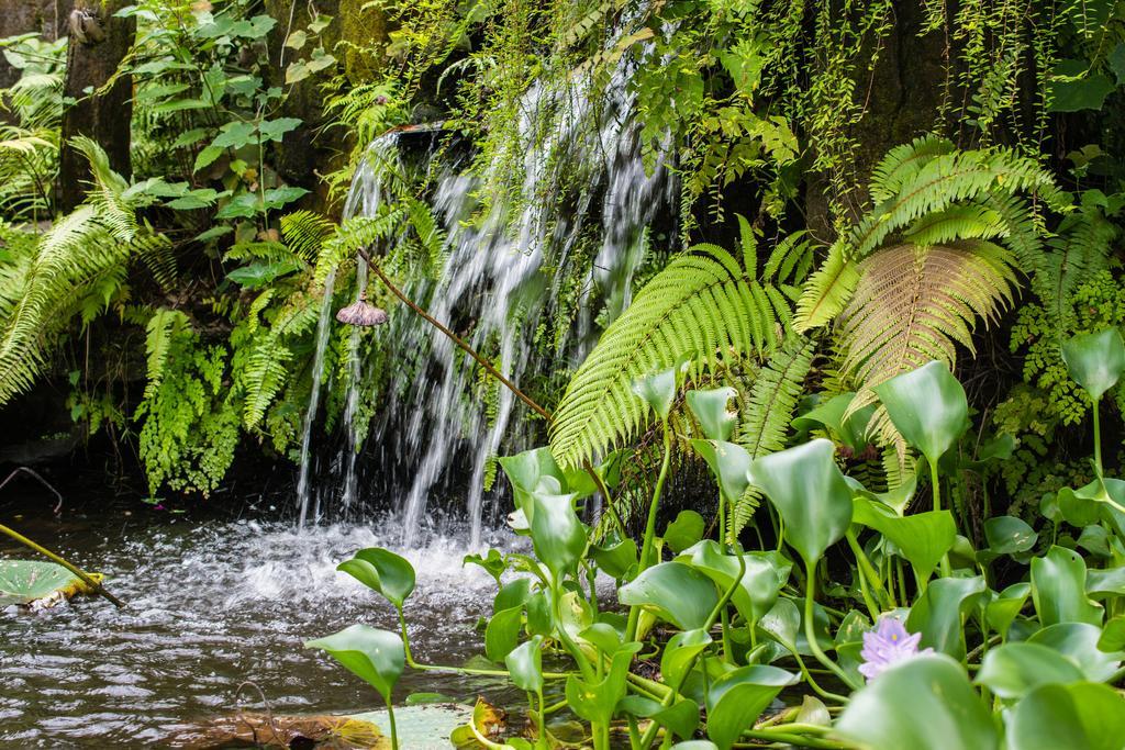 Gunung Paradis Retreat Munduk Dış mekan fotoğraf